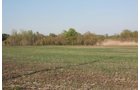 Property photo 12 - 641 Acres Offered in 16 Tracts - 545 Cropland Acres